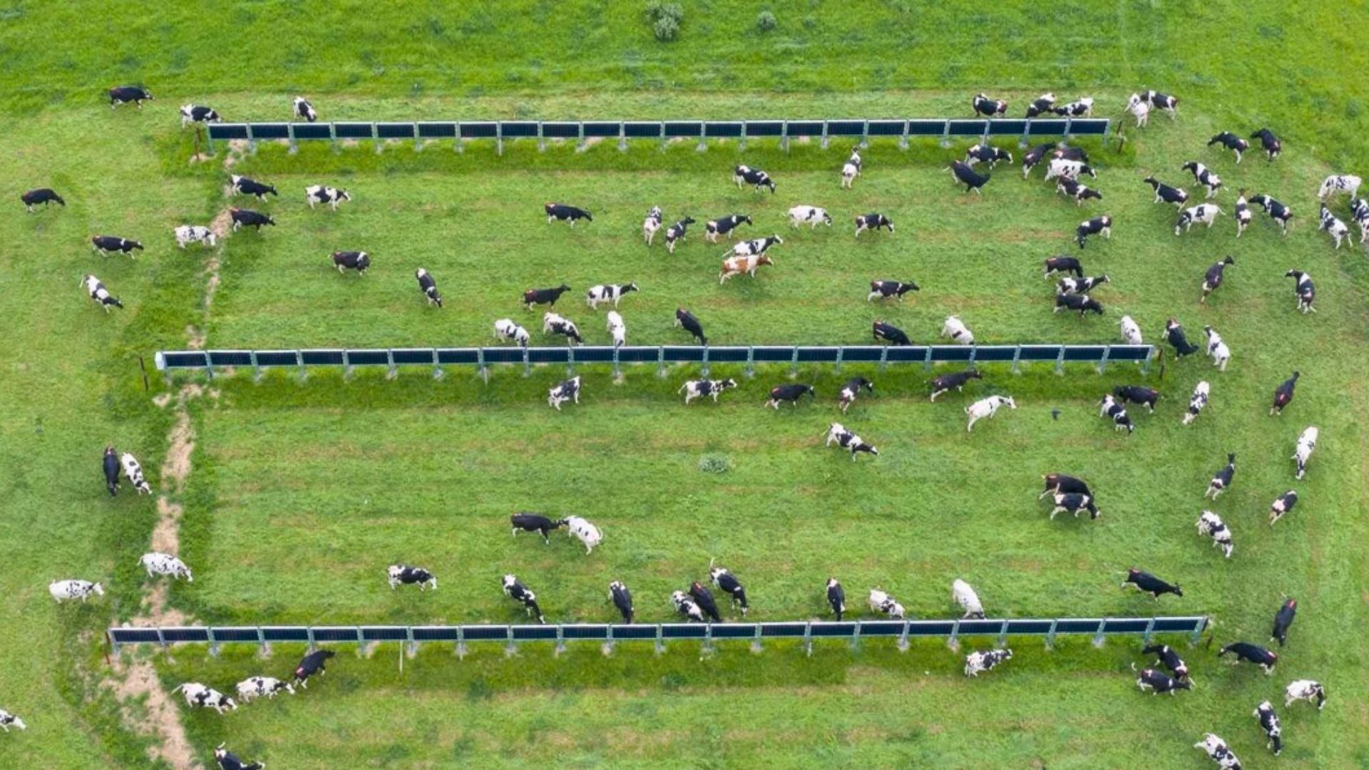 営農型太陽光発電の仕組み