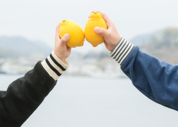 Agriculture Business