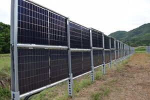 垂直型ソーラーシェアリングの導入事例　～水田と牧草地での営農型太陽光の実践例～