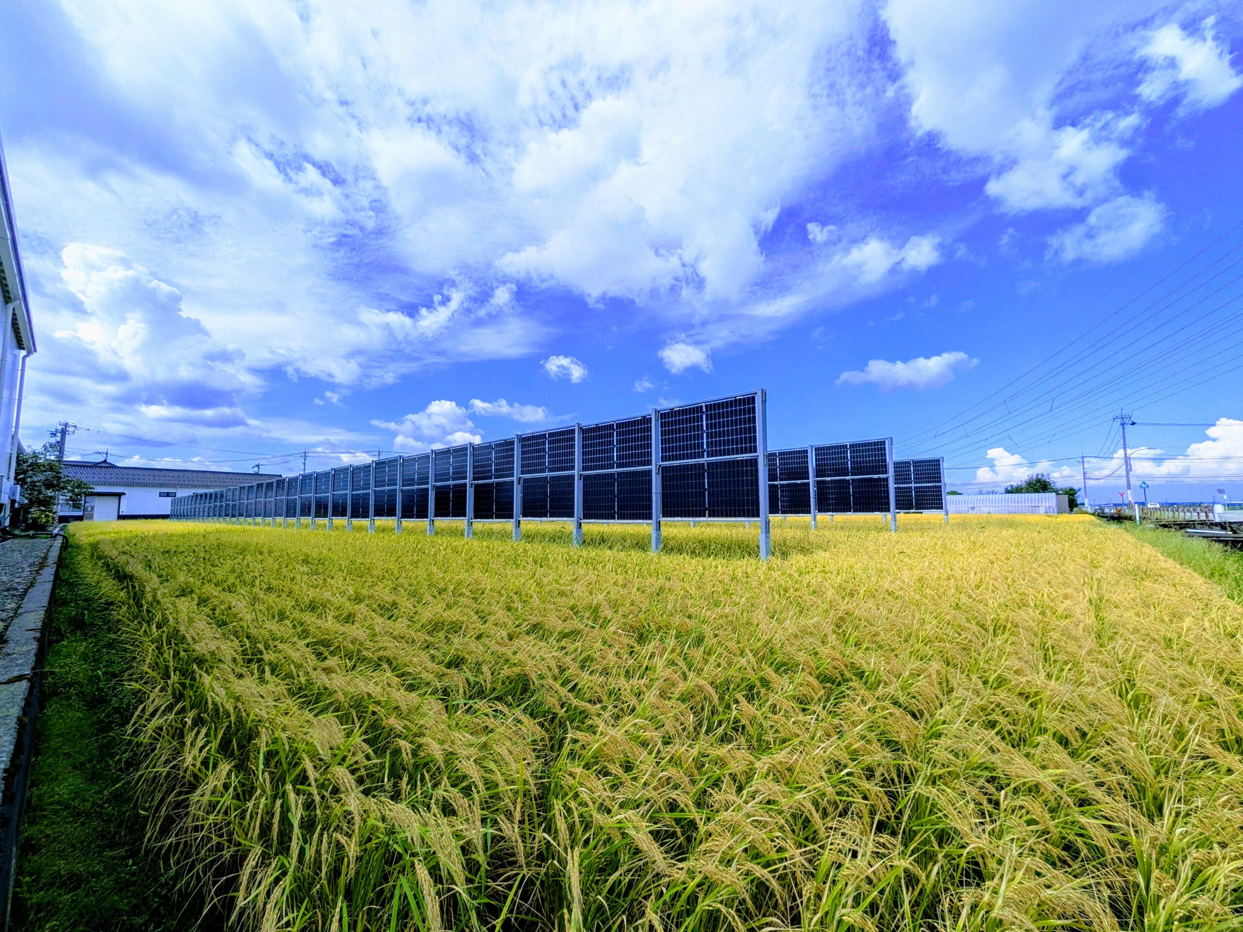 吉田酒造店_石川県白山市垂直型ソーラーシェアリング