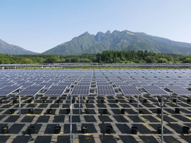熊本県阿蘇郡_藤棚型ソーラーシェアリング
