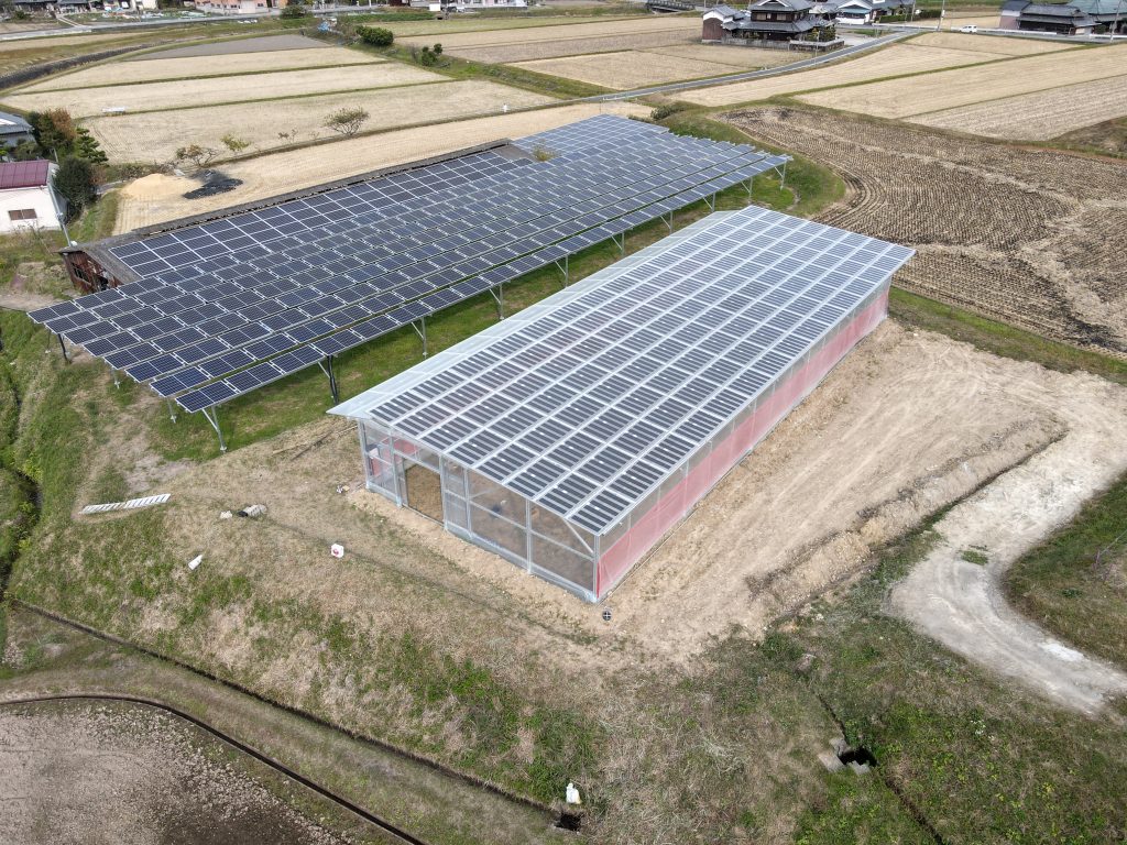 営農型架台 ハウスタイプ