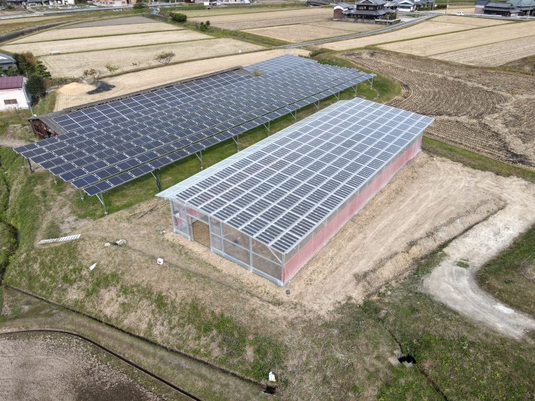 営農型架台 ハウスタイプ