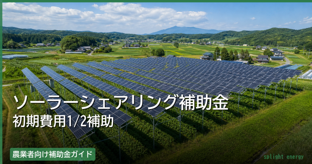 ソーラーシェアリング補助金で初期費用が半額｜喜多方市・北茨城市・小田原市【2026】