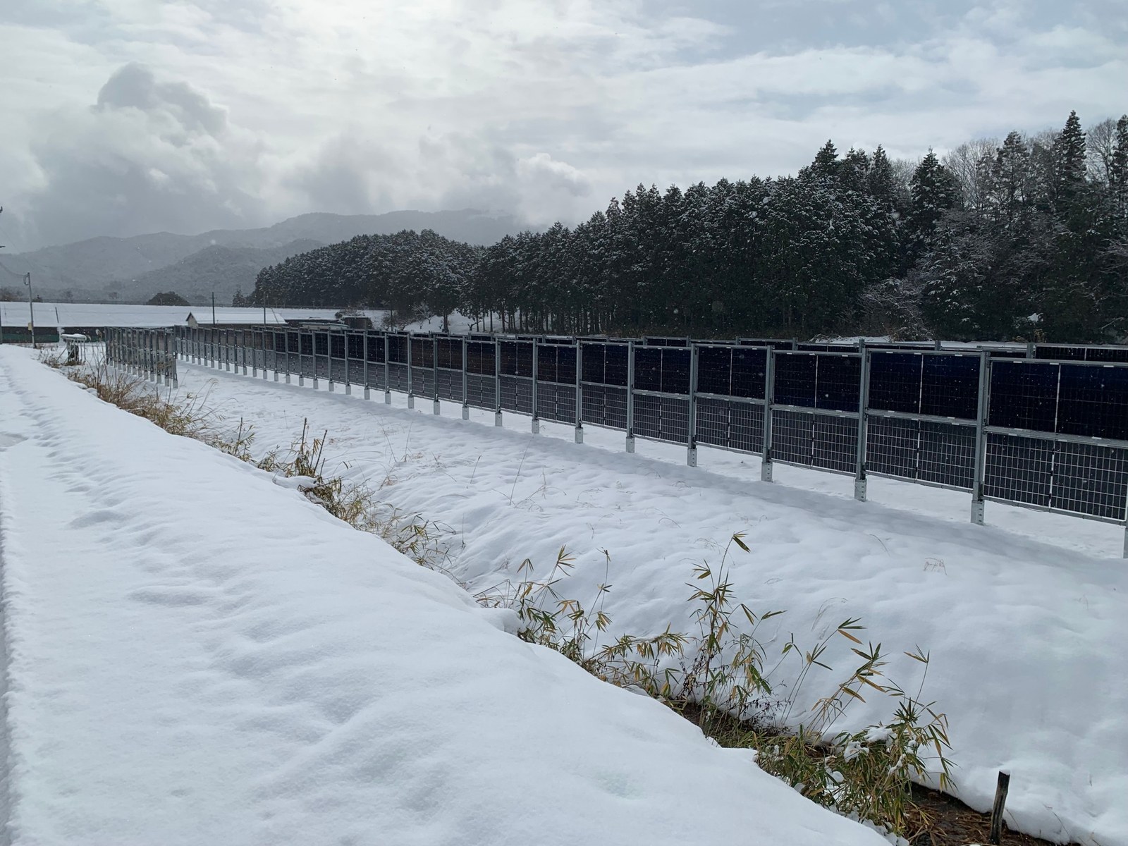 積雪した農地に設置された垂直型ソーラー。地面は一面の雪だが、垂直に立つパネルの受光面には雪が積もっていない